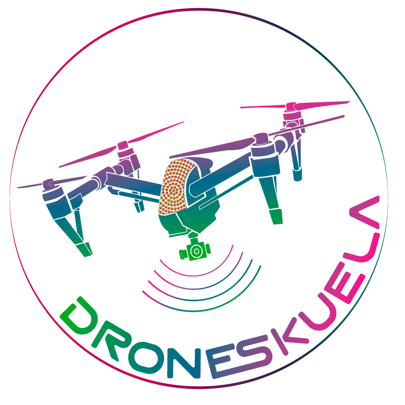 cropped-DroneSkuela-Logopng.